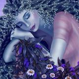 Detail1 dreamer.jpg 160 160 65536 10000 0.jpg 160 160 262144 60000 0 1 0